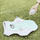 Summer Dog Cooling Vest - Breathable Mesh Pet Cooling Jacket