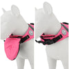 Dog Life Jacket