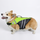 Dog Life Jacket